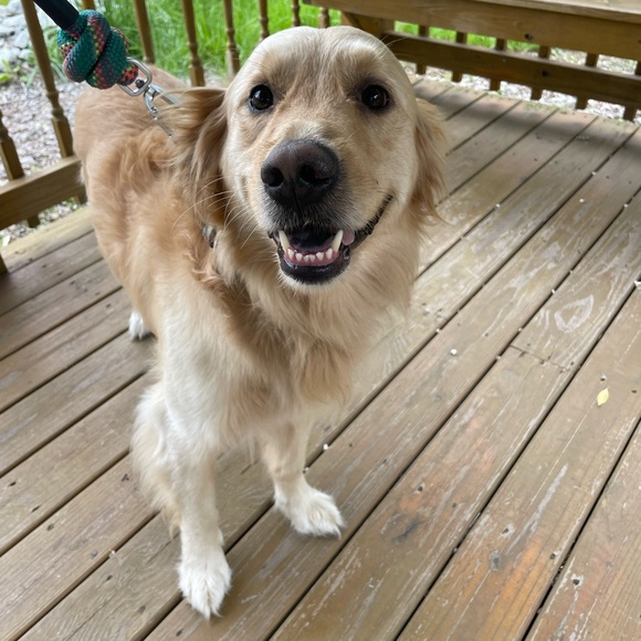 wantuchmolly